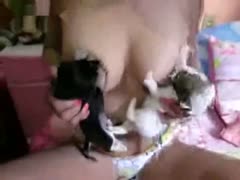 Bodacious non-professional web camera model tries to breast feed her puppies in this zoo fetish movie